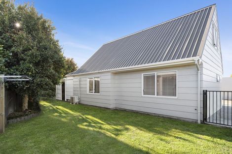 Photo of property in 45a Rimu Street, Gate Pa, Tauranga, 3112
