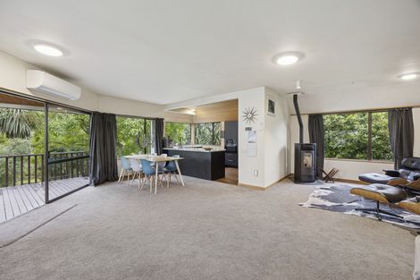 Photo of property in 43 Pacific Street, Roslyn, Dunedin, 9010