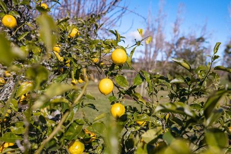 Photo of property in 917 Port Albert Road, Wellsford, 0973