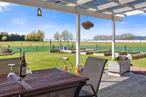 Photo of property in 493 Grieve Road, Te Teko, Whakatane, 3193