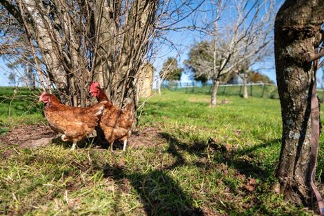 Photo of property in 99 Kapukapu Road, Hamurana, Rotorua, 3096