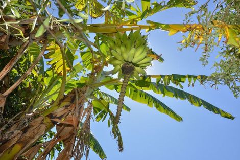 Photo of property in 544aa Mahia East Coast Road, Mahia, Nuhaka, 4198