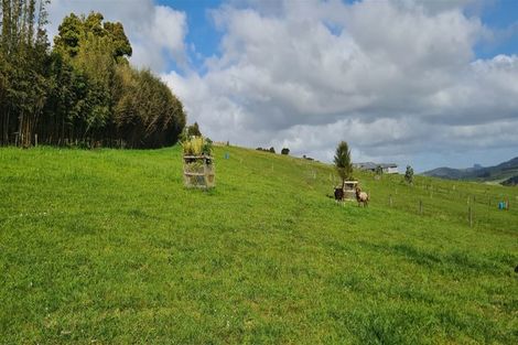 Photo of property in 74 Hihi Road, Mangonui, 0494