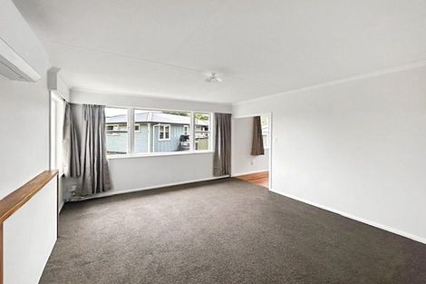 Photo of property in 14 Conway Place, Terrace End, Palmerston North, 4410