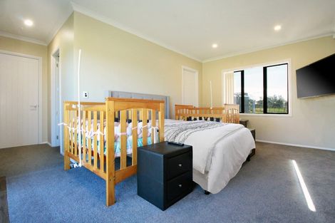 Photo of property in 85 Storey Road, Otaua, Waiuku, 2682