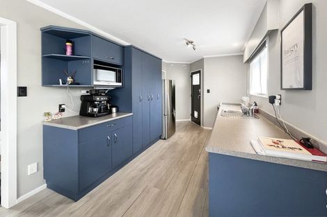 Photo of property in 33 Leicester Street, Terrace End, Palmerston North, 4410