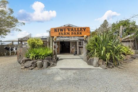 Photo of property in 308 Henderson Valley Road, Henderson Valley, Auckland, 0612