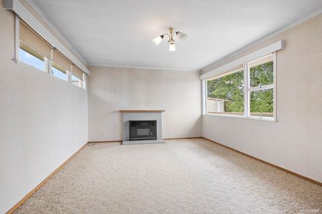 Photo of property in 45 Bruce Avenue, Glenview, Hamilton, 3206