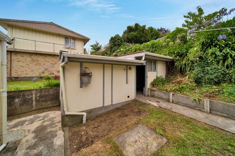 Photo of property in 51 Vivian Street, New Plymouth, 4310