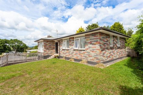 Photo of property in 35 Griffiths Street, Putaruru, 3411