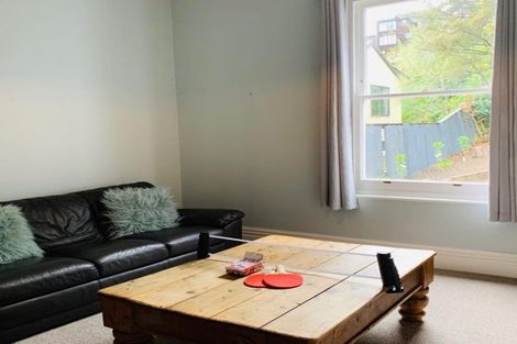 Photo of property in 19 Serpentine Avenue, Dunedin Central, Dunedin, 9016