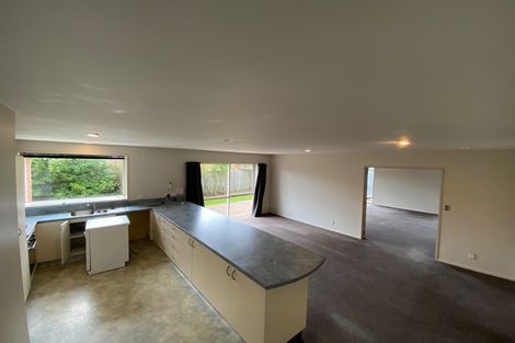 Photo of property in 19a Donegal Street, Belfast, Christchurch, 8051