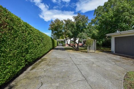 Photo of property in 50 Kent Street, Carterton, 5713