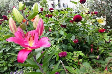 Photo of property in 77a Alexander Road, Raumati Beach, Paraparaumu, 5032