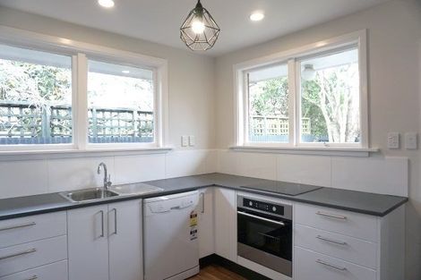 Photo of property in 25 Nursery Road, Phillipstown, Christchurch, 8011