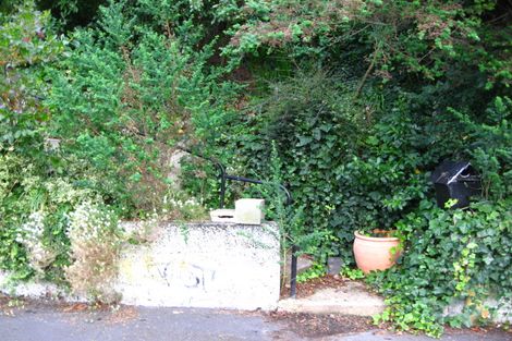 Photo of property in 42 College Street, Caversham, Dunedin, 9012