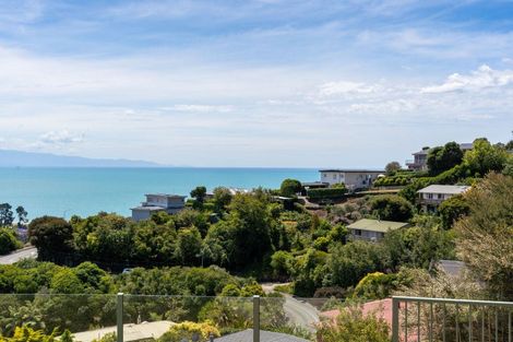 Photo of property in 21 Orakei Street, Tahunanui, Nelson, 7011