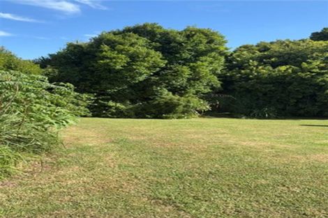 Photo of property in 117 Manuka Road, Bayview, Auckland, 0629