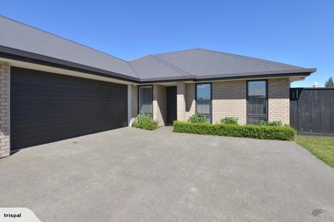 Photo of property in 11 Lloyds Close, Rolleston, 7614