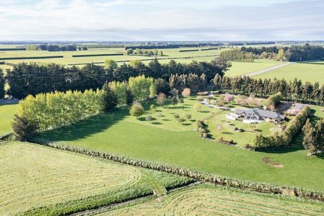 Photo of property in 200 Lochiel Branxholme Road, Lochiel, Winton, 9781