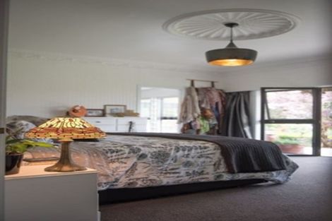 Photo of property in 244 Ripponvale Road, Cromwell, 9384