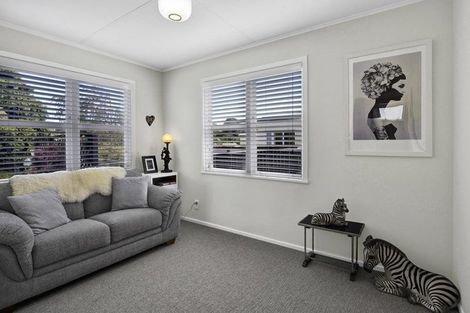 Photo of property in 11 Fitzherbert Avenue, Springvale, Whanganui, 4501