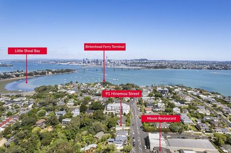 Photo of property in 91 Hinemoa Street, Birkenhead, Auckland, 0626