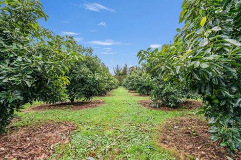 Photo of property in 78 Lockington Road, Aongatete, Katikati, 3181