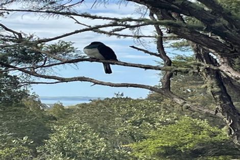 Photo of property in 27 Reynolds Place, Torbay, Auckland, 0630