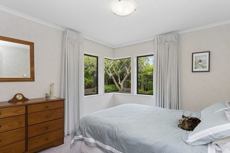 Photo of property in 14 Abelia Avenue, Mount Maunganui, 3116