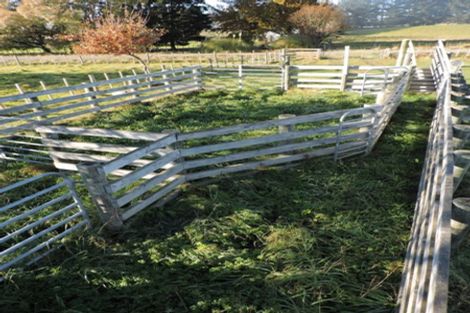 Photo of property in 22 Settlement Road, Kaiwaka, 0573