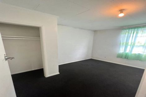 Photo of property in 21 Von Sturmer Street, Mangere East, Auckland, 2024