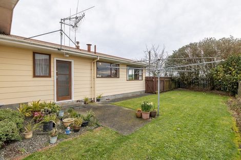 Photo of property in 117 Liverpool Street, Levin, 5510