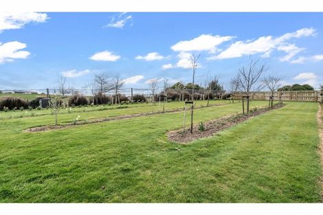 Photo of property in 47 Spittles Way, Gore, 9710