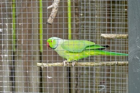 Photo of property in 48 Armitage Road, Wellsford, 0900