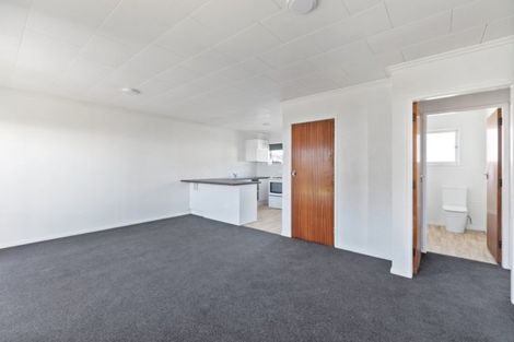 Photo of property in 159b Nixon Street, Hamilton East, Hamilton, 3216