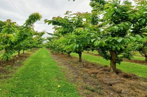 Photo of property in 66 Gladsmuir Road, Queensberry, Cromwell, 9383