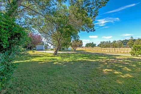 Photo of property in 409 Foxton Shannon Road, Foxton, 4893