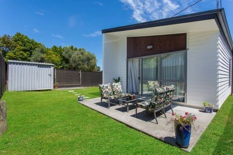 Photo of property in 6 Skippy Patuwai Lane, Glen Innes, Auckland, 1072