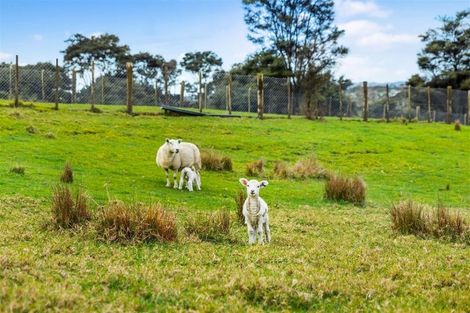 Photo of property in 185 Red Hills Road, Massey, Henderson, 0782