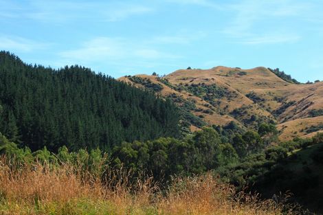 Photo of property in 843 Old Mountain Road, Waitetuna, Raglan, 3295