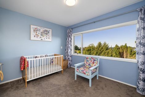 Photo of property in 24 Claremont Terrace, Otumoetai, Tauranga, 3110