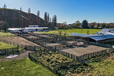 Photo of property in 717 Puketitiri Road, Puketapu, Napier, 4182