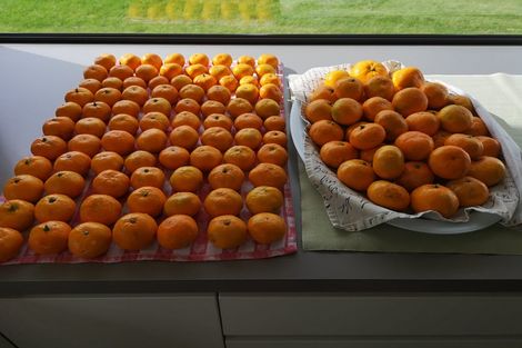 Photo of property in 905 Upper Ohauiti Road, Ohauiti, Tauranga, 3173