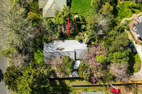 Photo of property in 8 Ngaere Avenue, Chartwell, Hamilton, 3210