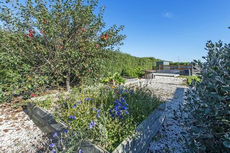 Photo of property in 36 Whitcombe Place, Darfield, 7571