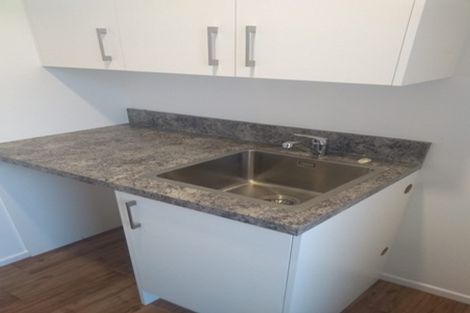 Photo of property in 13 Hobson Street, Maeroa, Hamilton, 3200