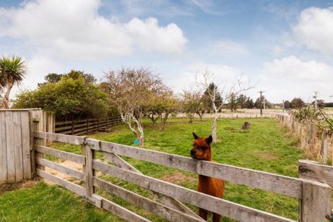 Photo of property in 12 Clive Street, Halcombe, Feilding, 4779