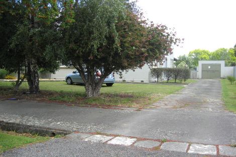 Photo of property in 16 Sandilands Street, Feilding, 4702