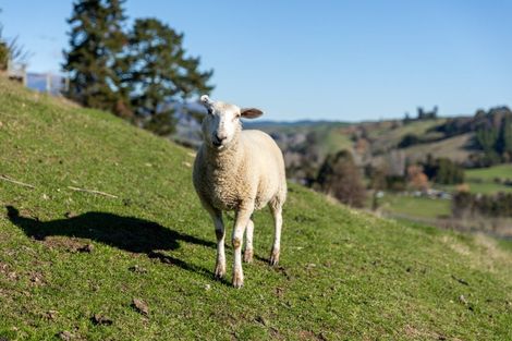 Photo of property in 14a Totara View Road, Wakefield, 7095